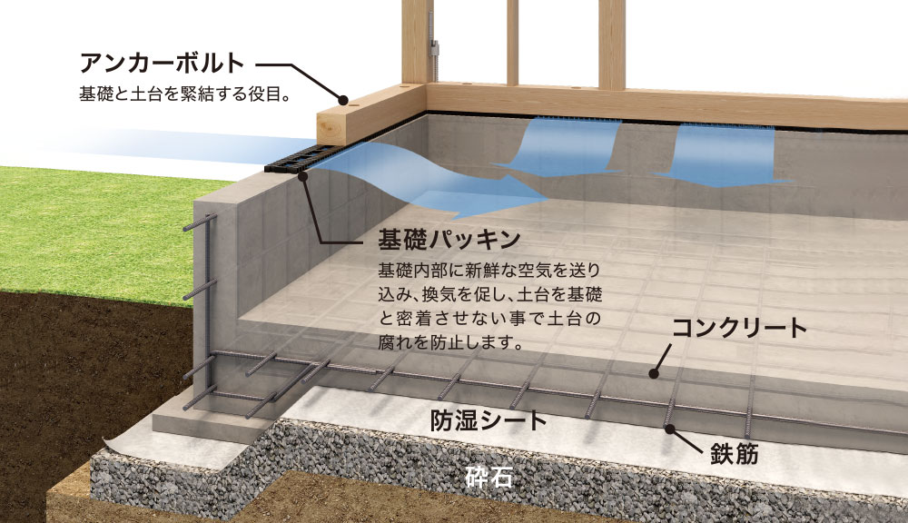 「基礎断面」